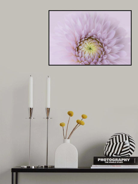 Petals of Love Poster och Canvastavla