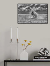Moby Lives Poster och Canvastavla