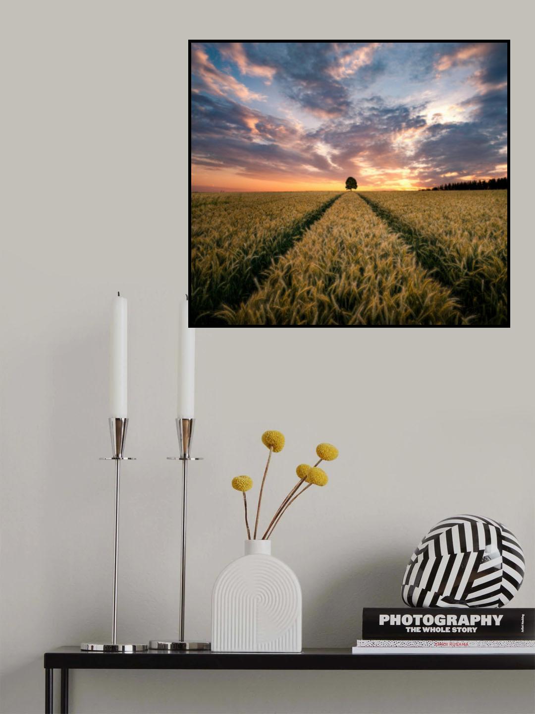 Field of dreams Poster och Canvastavla