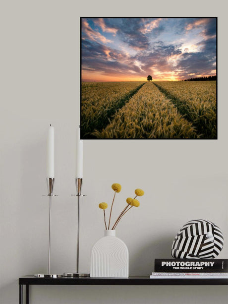 Field of dreams Poster och Canvastavla