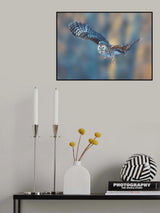 Good morning, little cutie Poster och Canvastavla
