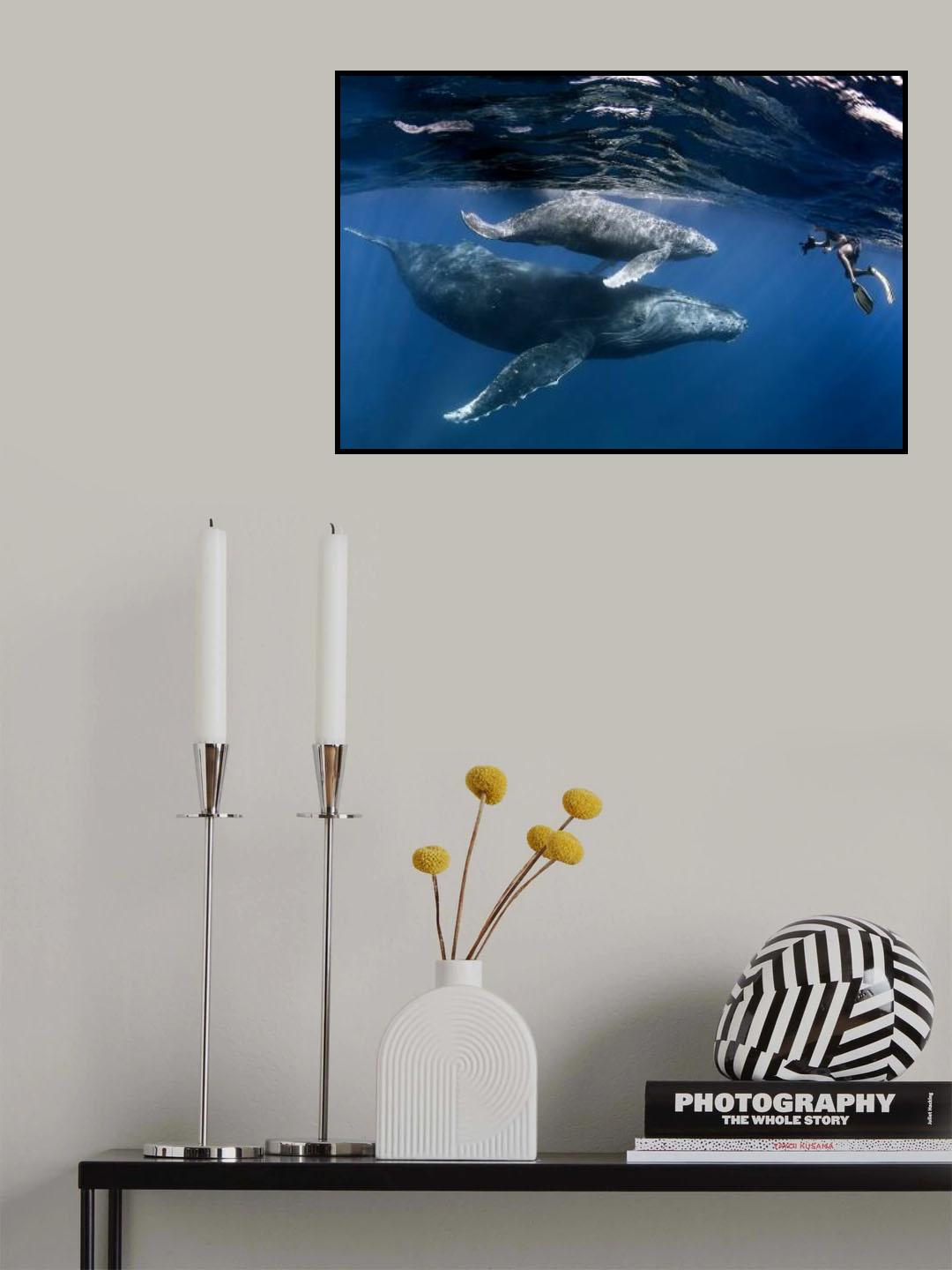 meeting the giants Poster och Canvastavla
