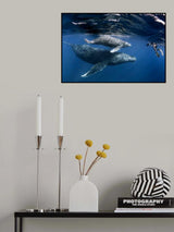meeting the giants Poster och Canvastavla
