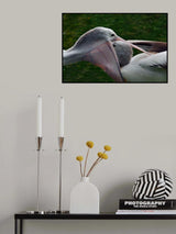 Mother's love Poster och Canvastavla
