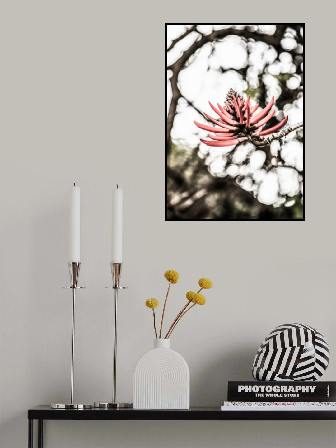 La Coral Poster och Canvastavla