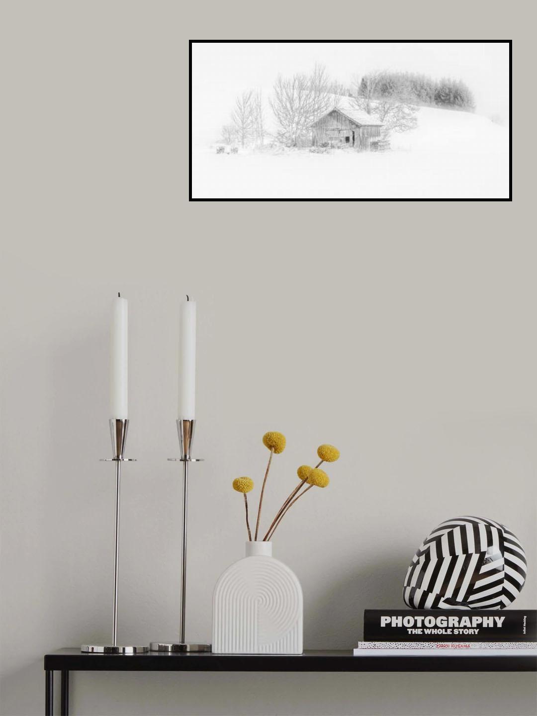 In a misty snowworld Poster och Canvastavla