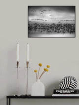 Poster och Canvastavla