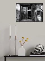A curious cat Poster och Canvastavla