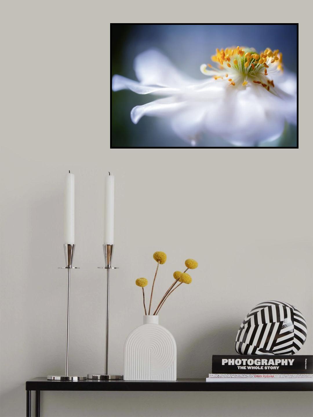 Anemone 1 Poster och Canvastavla