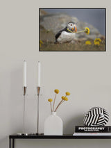 Where is she? Poster och Canvastavla