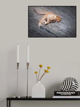 hunt down Poster och Canvastavla