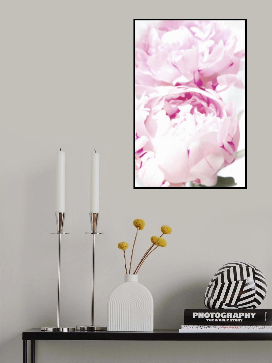 Subdued peony X Poster och Canvastavla