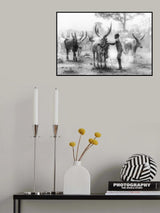 Tethering the bull Poster och Canvastavla