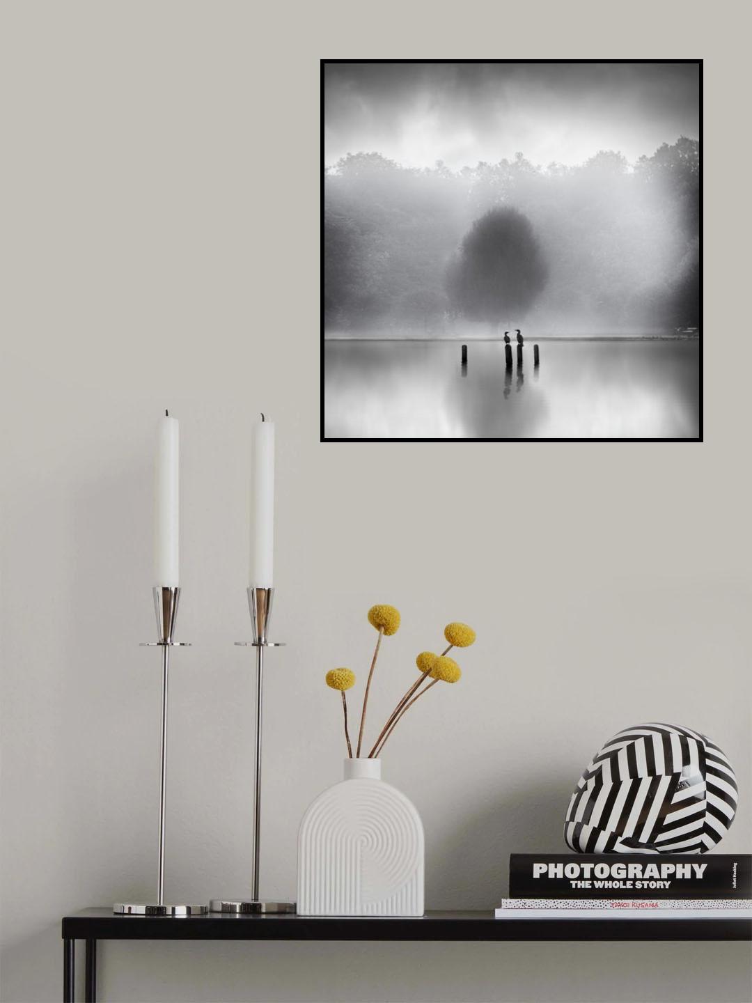 Cormorants in the mist Poster och Canvastavla