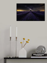 Fields of Castilla Poster och Canvastavla