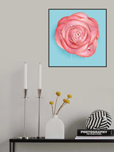Look Like Lick Poster och Canvastavla