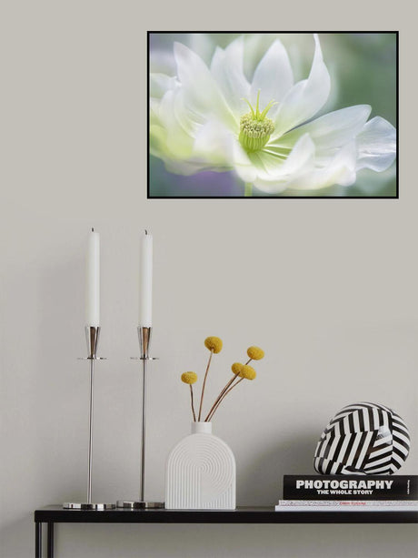 Serene Poster och Canvastavla