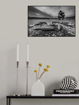For fish Poster och Canvastavla