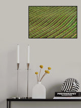 Vineyard Poster och Canvastavla