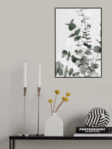 Eucalyptus Creative 06 Poster och Canvastavla