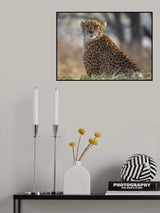 Eye Contact Poster och Canvastavla