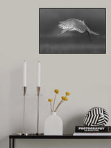 Prepare for landing Poster och Canvastavla