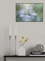 Purity Poster och Canvastavla