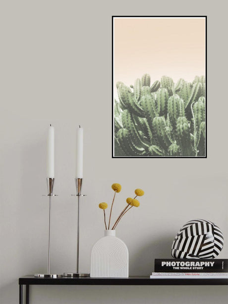 Boho Cactus No.4 Poster och Canvastavla