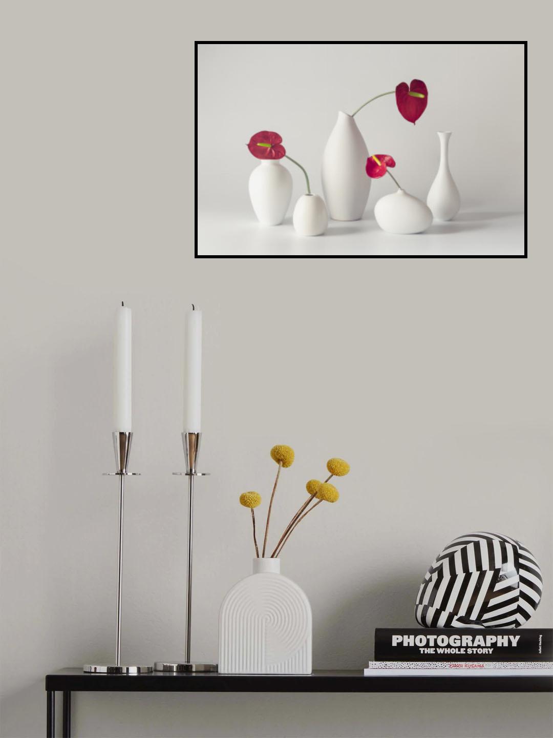 Anthurium Poster och Canvastavla