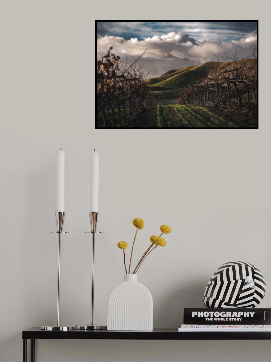 Dark Vineyards Poster och Canvastavla