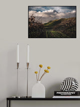 Dark Vineyards Poster och Canvastavla