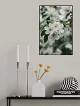 Spring Series - Apple Blossoms in the Rain 2/12 Poster och Canvastavla