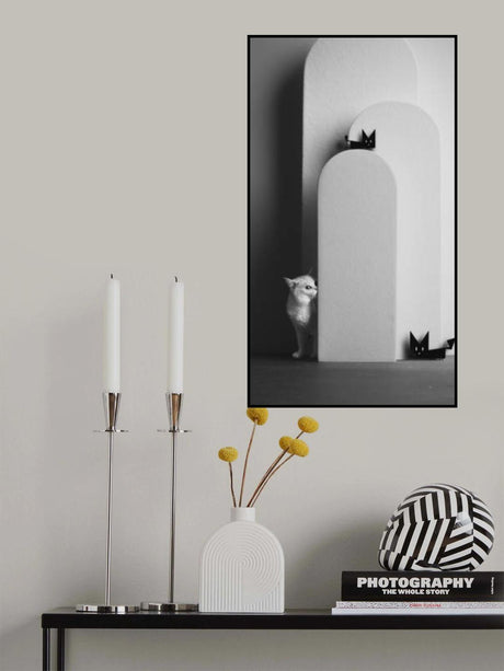 B&amp;W Poster och Canvastavla