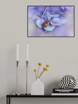 Little snail on hydrangea Poster och Canvastavla