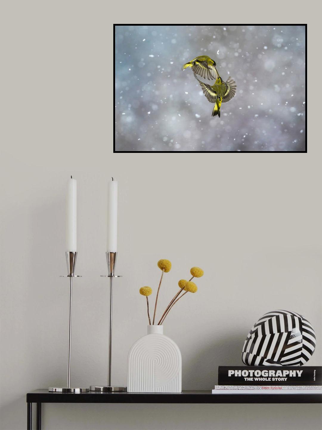 Fight in the snow Poster och Canvastavla
