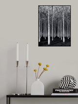 The Forest For The Trees Poster och Canvastavla