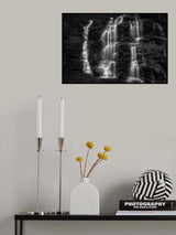 The Triple Poster och Canvastavla