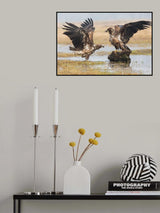 Open Wings Poster och Canvastavla