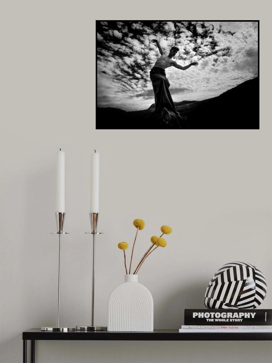 n/t Poster och Canvastavla