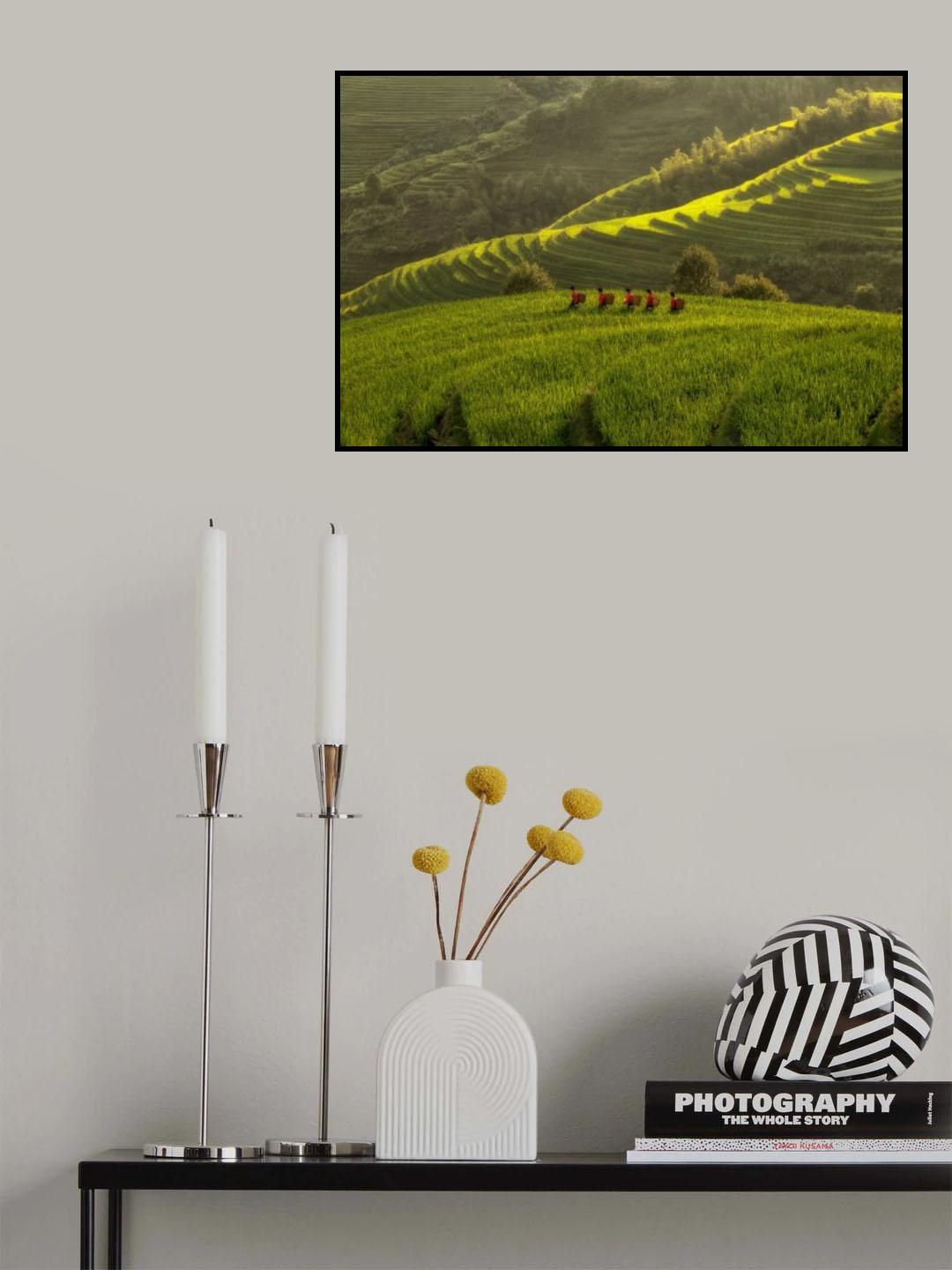 Five Ladies in Rice Fields Poster och Canvastavla