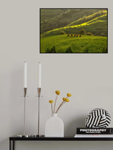 Five Ladies in Rice Fields Poster och Canvastavla