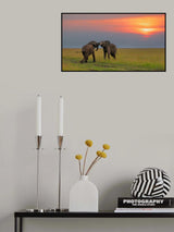 Dancing at The Sunset Poster och Canvastavla