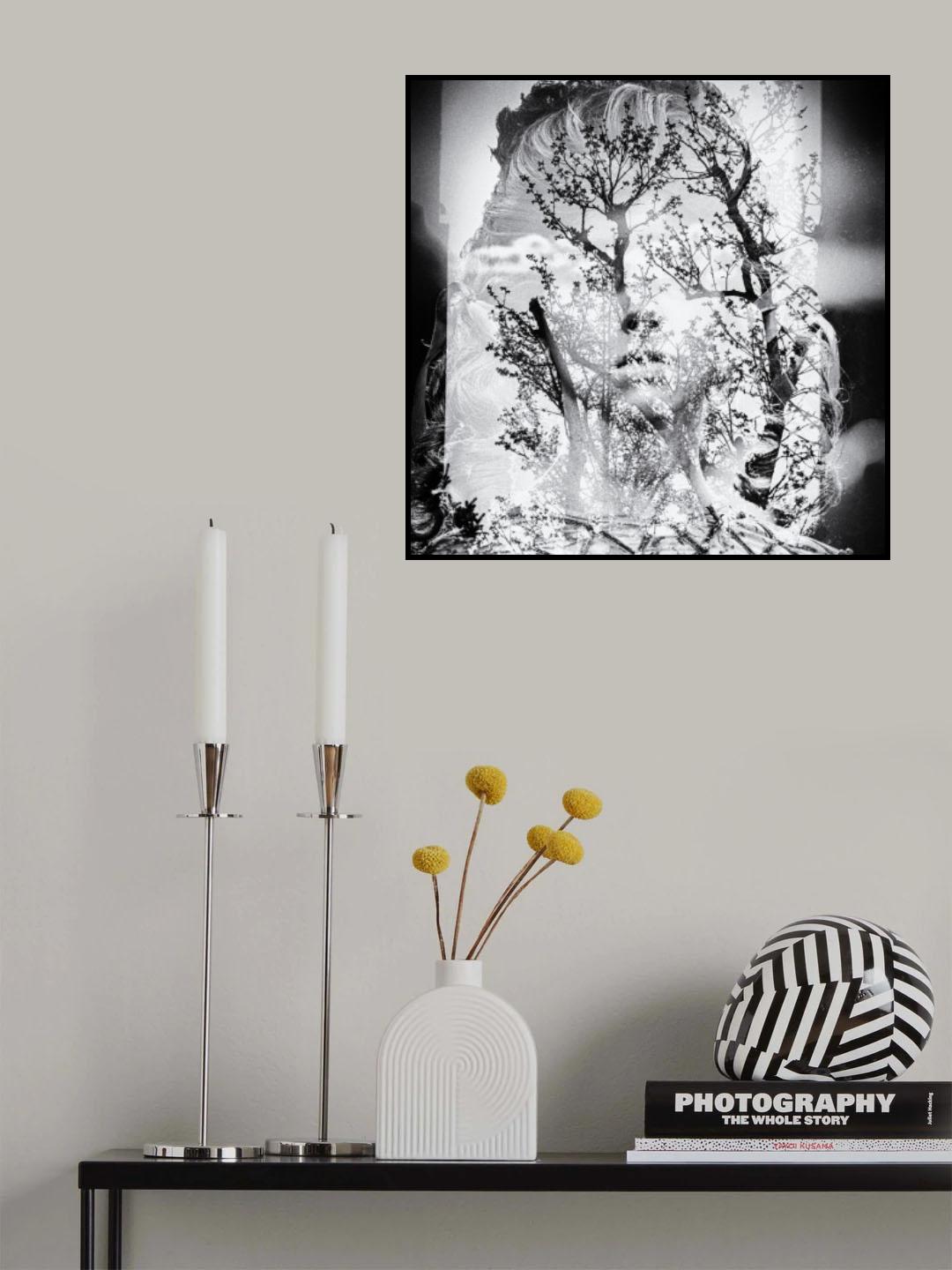 Dreams Poster och Canvastavla