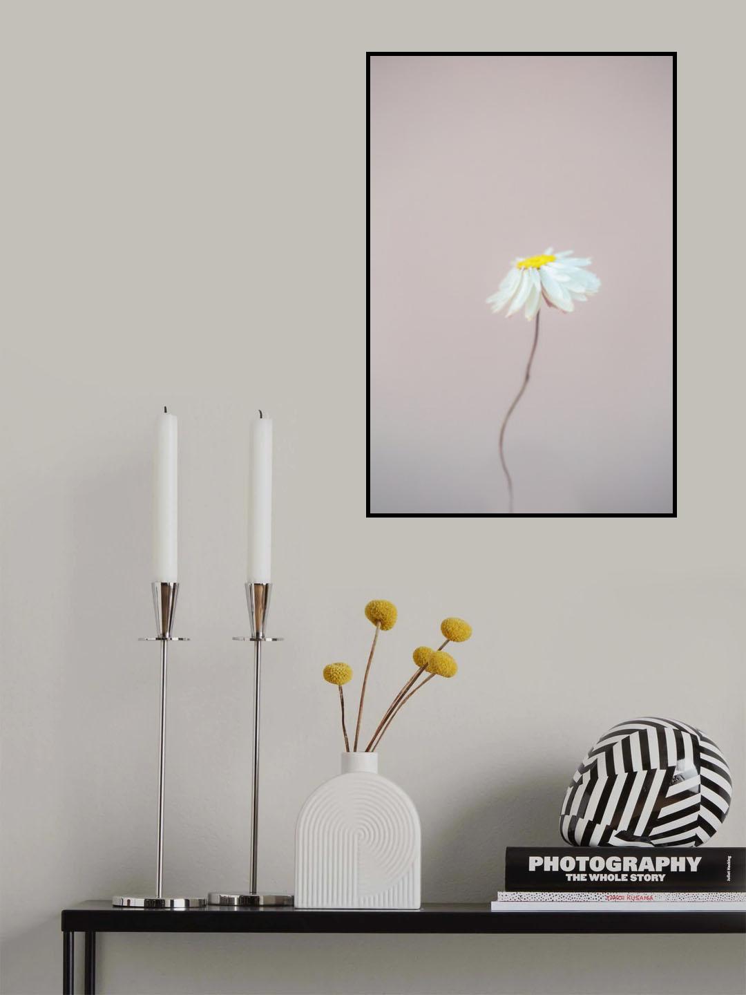 Fragile 1 Poster och Canvastavla