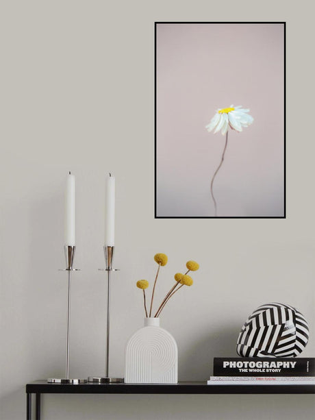 Fragile 1 Poster och Canvastavla