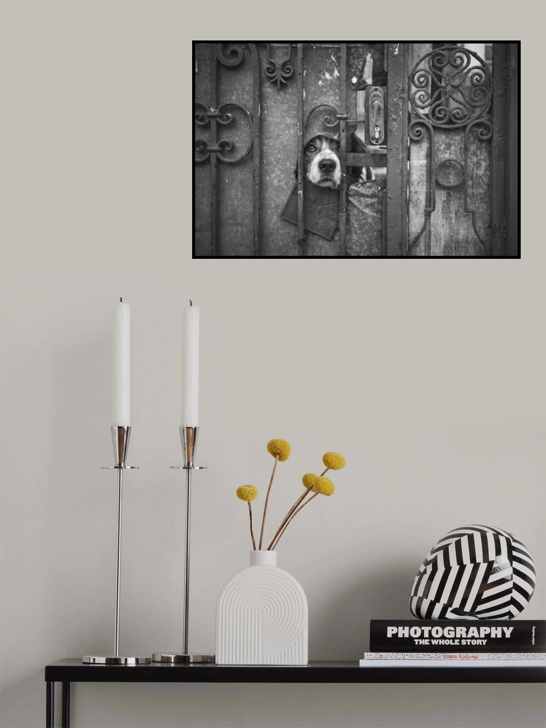 Wise Guy Poster och Canvastavla