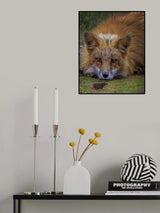 I'm Watching You Poster och Canvastavla