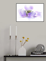 Voile Poster och Canvastavla