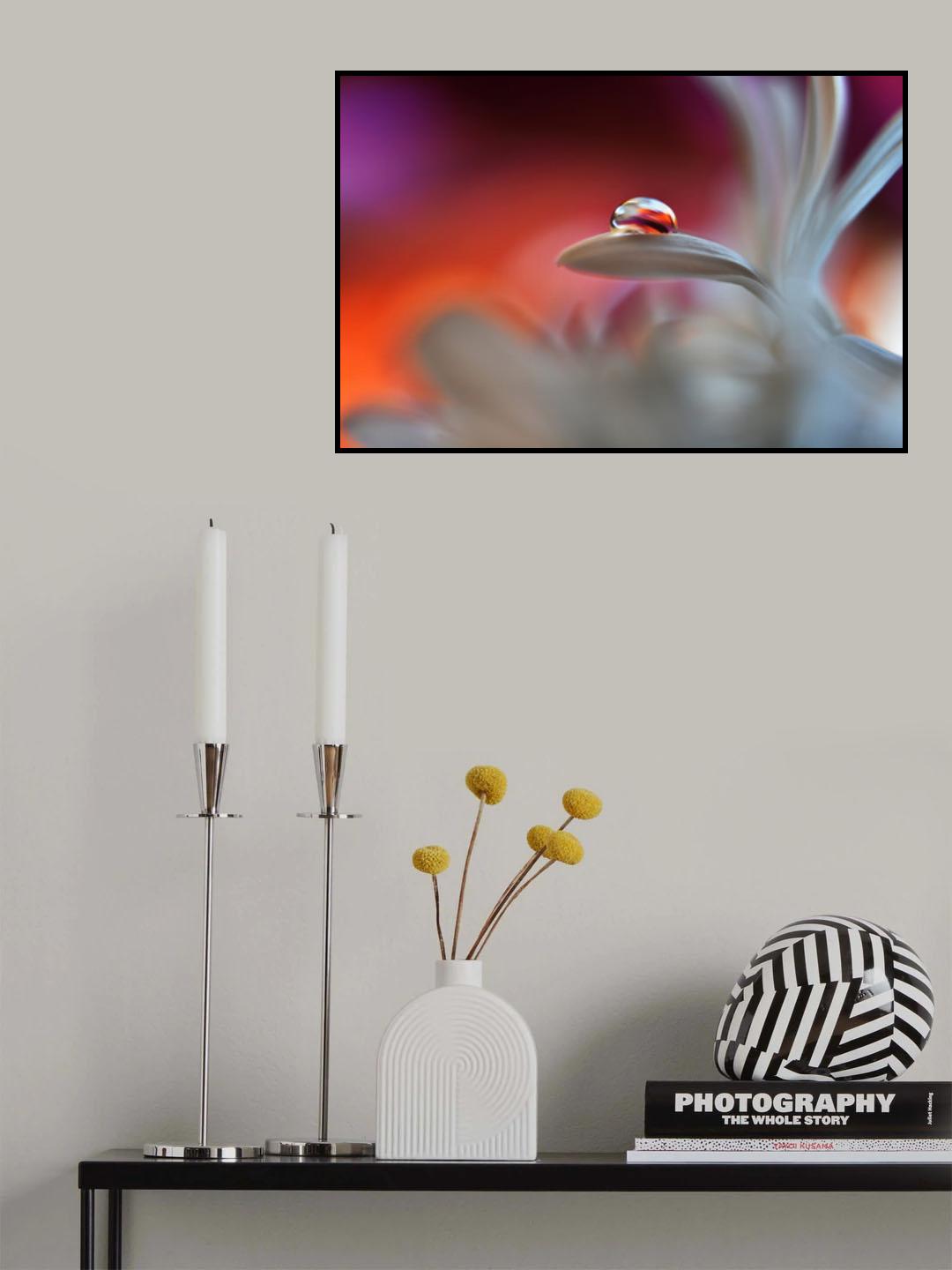 Happy colors Poster och Canvastavla