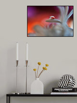 Happy colors Poster och Canvastavla